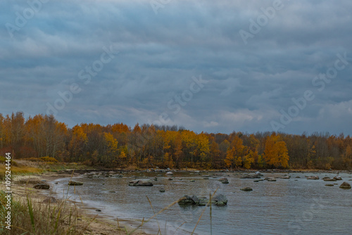 Peaceful autumn landscape at Paljassaare Peninsula in Tallinn, Estonia. The shoreline features a calm, shallow Baltic sea with scattered rocks emerging from the water. In the background autumn forest. photo