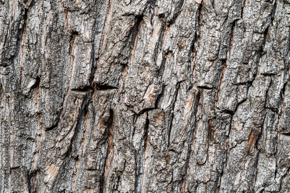 Wood abstract texture. Surface grunge backdrop. Dirty wooden effect pattern. Material background. Wood abstract texture. Surface grunge backdrop. Dirty wooden effect pattern. Material background.