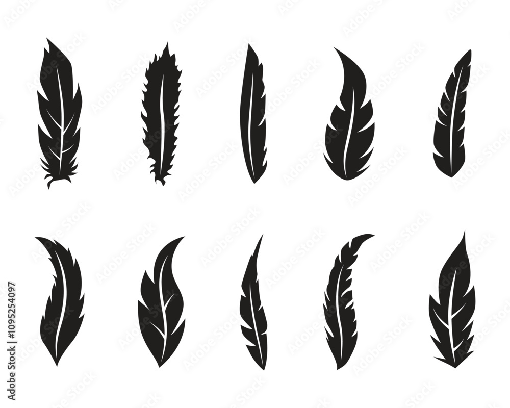 Collection of different bird feather illustration Collection of different bird feather illustration