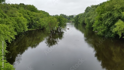 river in the forest