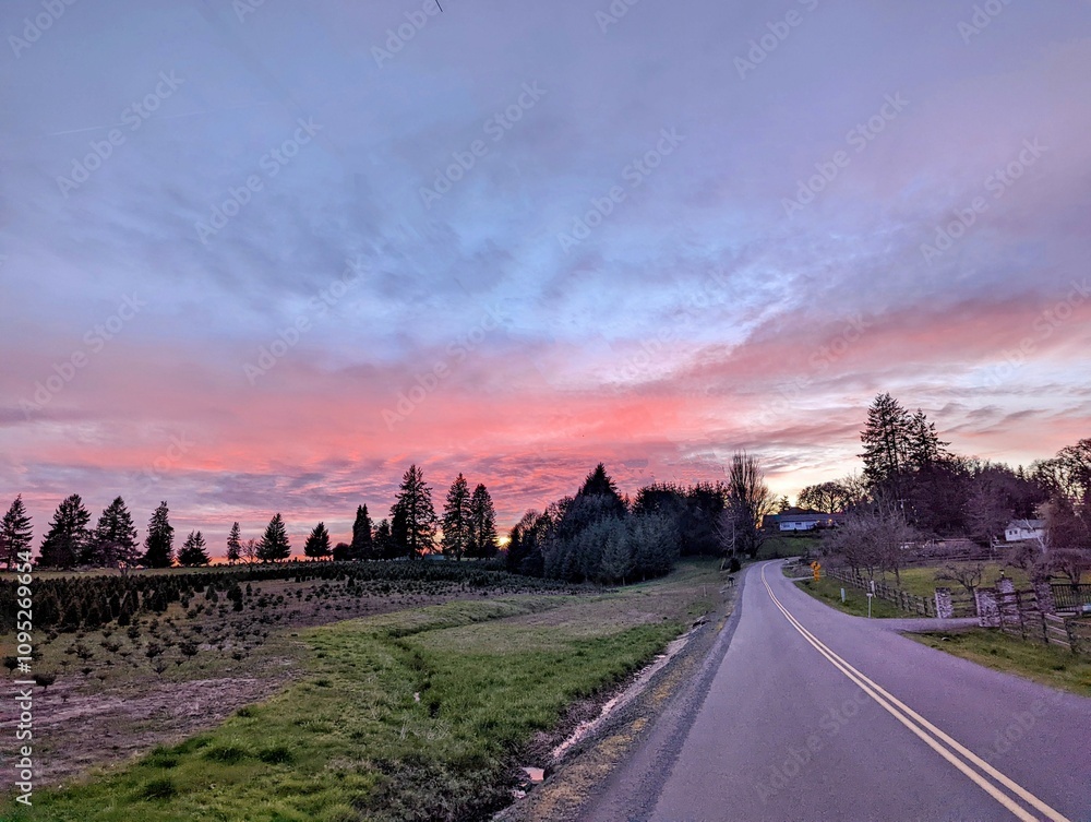 Obraz premium sunset over the road