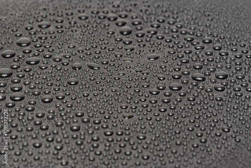 Wallpaper Mural water droplets Torontodigital.ca