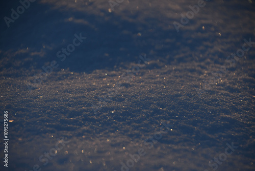 Canvas Print fresh snow glistening in the morning sun