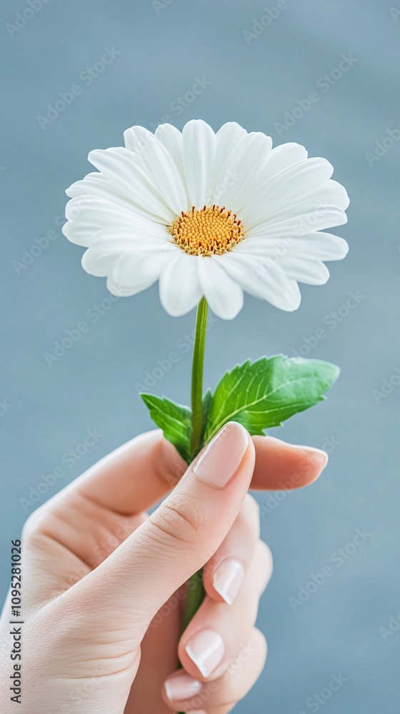 woman holding a beautiful feather, isolated background woman holding a beautiful feather, isolated background