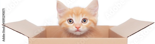 Adorable Ginger Cat Peeking from Cardboard Box, Curious Expression, Bright Eyes, Playful Mood, Whimsical Pet Photography, Perfect for Animal Lovers