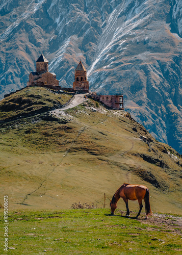 Wallpaper Mural View on the Gergeti Trinity Church in Stepantsminda with the snow covered Caucasus mountains in the background, in Kazbegi, Georgia, with horse grazing. Torontodigital.ca