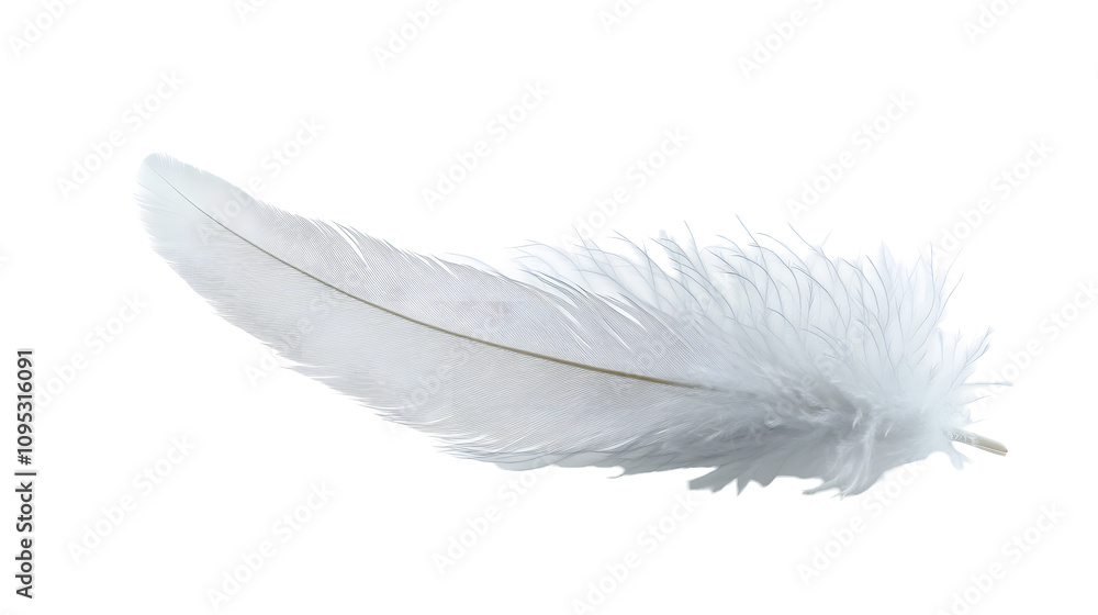 Obraz premium White feather on white background