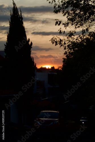 sunset in the city