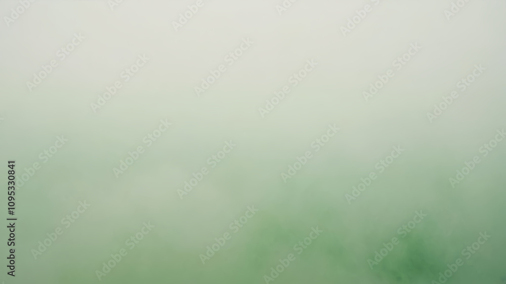 Obraz premium green paper background