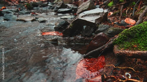 A low pan along an urban creek in winter in Chapel Hill, North Carolina, with ambient sound