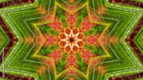 Red and green kaleidoscope pattern.