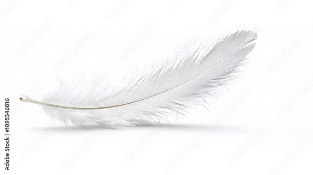 Obraz premium White feather on white background