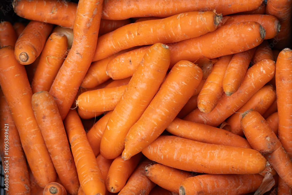 A vibrant close-up of fresh orange carrots piled together. The detailed texture of the carrots showcases their natural and organic appearance, ideal for healthy eating or farming themes. A vibrant close-up of fresh orange carrots piled together. The detailed texture of the carrots showcases their natural and organic appearance, ideal for healthy eating or farming themes.