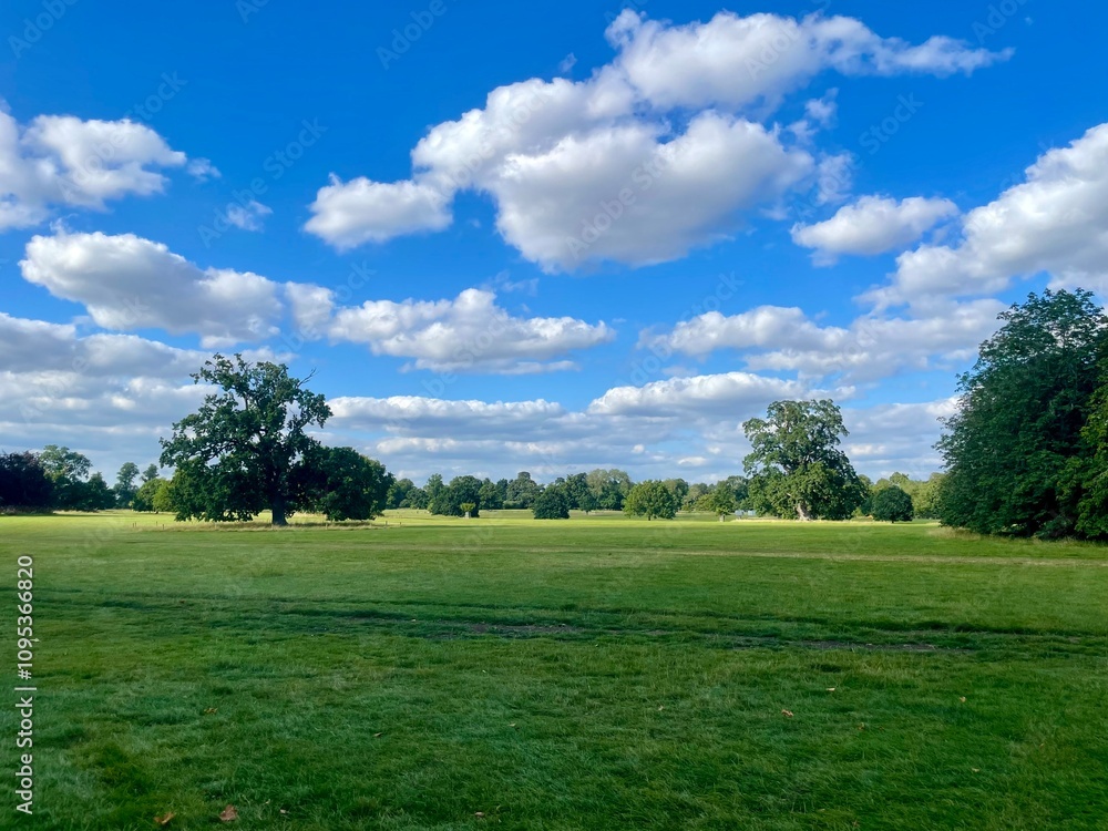 Beautiful sunny rural landscape with bright blue sky, white fluffy clouds, green grass and trees Beautiful sunny rural landscape with bright blue sky, white fluffy clouds, green grass and trees