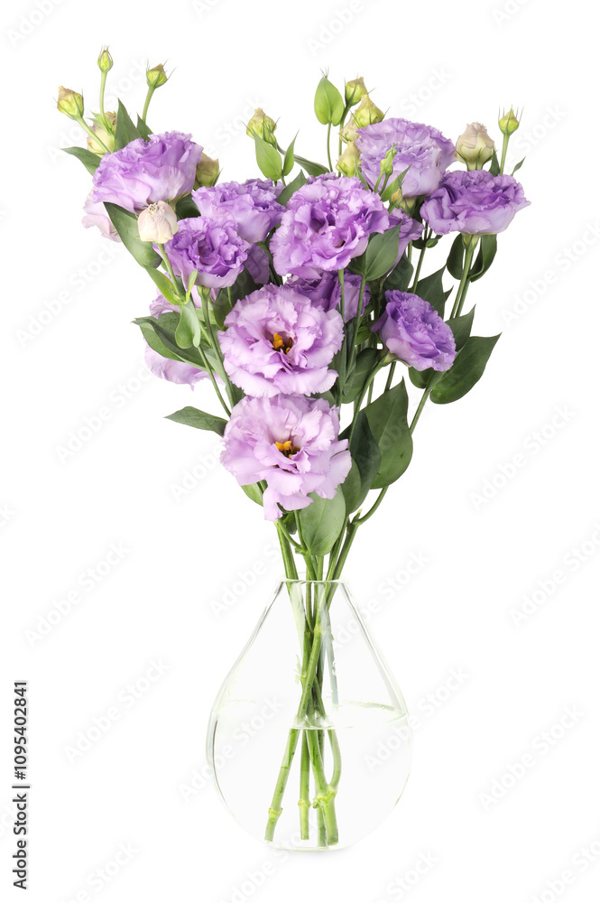 Obraz premium Vase with beautiful violet eustoma flowers isolated on white