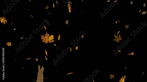 Autumn Leaves Falling Version 2