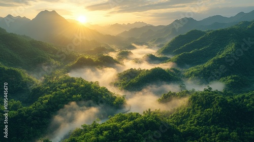 Foggy green mountain valleys at sunrise with golden sunlight, misty landscape, serene nature, lush forest, peaceful atmosphere, scenic tropical view, beautiful hills, tranquil scene