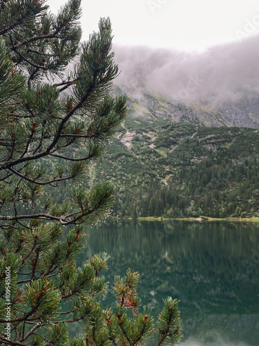 Zakopane park