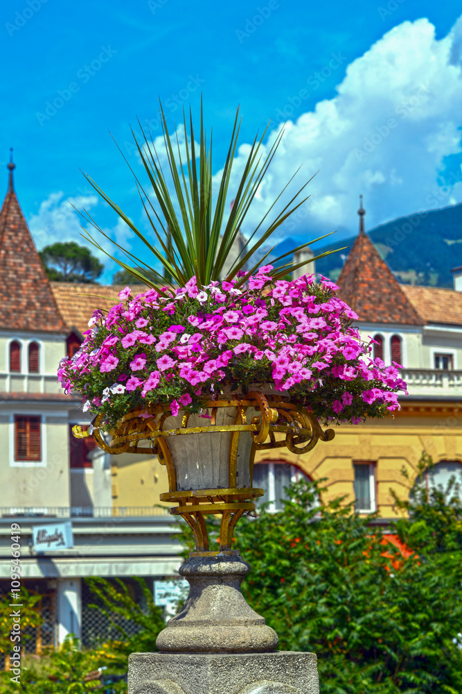 Fototapeta premium Petunien an der historischen Postbrücke in Meran (Südtirol)