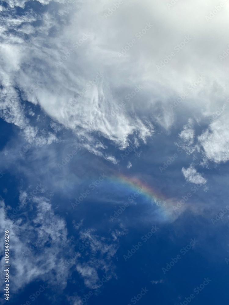 Obraz premium rainbow in sky