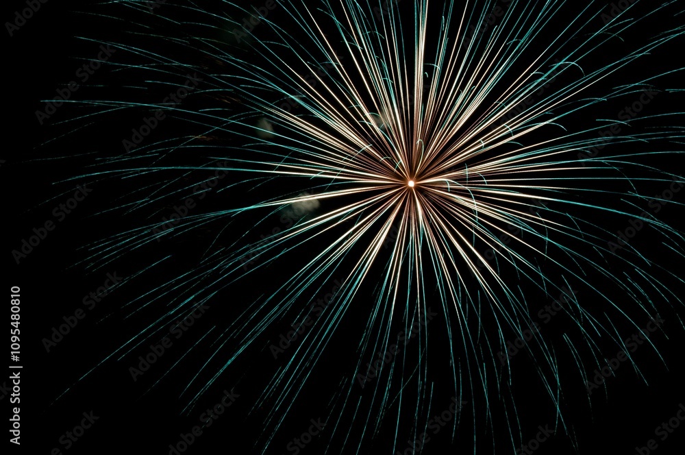 Obraz premium White and green firework exploding in night sky