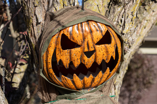 Close up view of a Halloween jack-o-lantern face and robe decoration hanging on a crabapple tree
