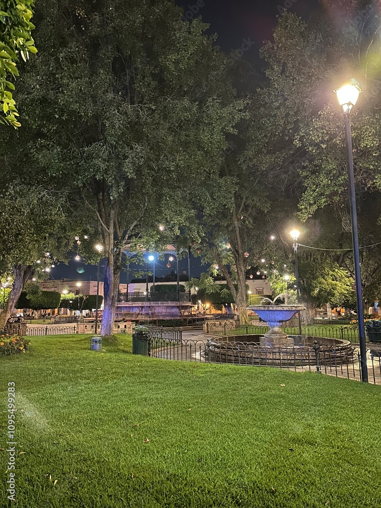 Obraz premium park at night