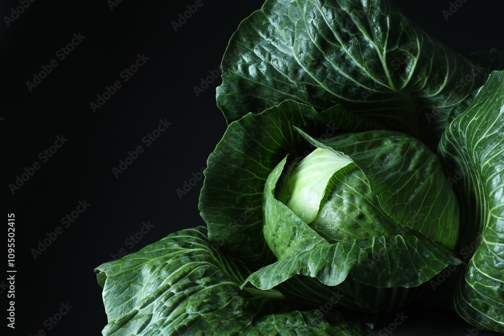 Obraz premium Whole ripe head of cabbage on dark background, closeup