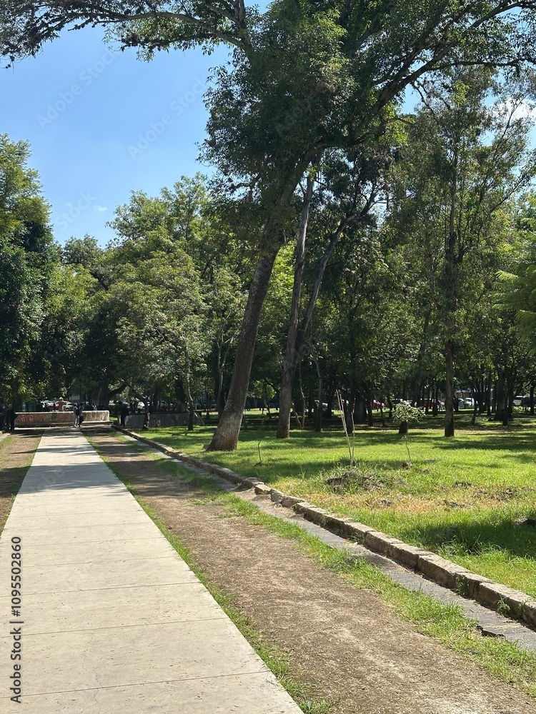 Fototapeta premium path in the park