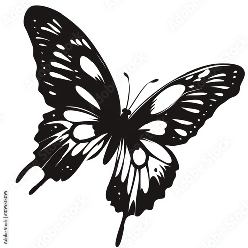 butterfly silhouette isolated on white