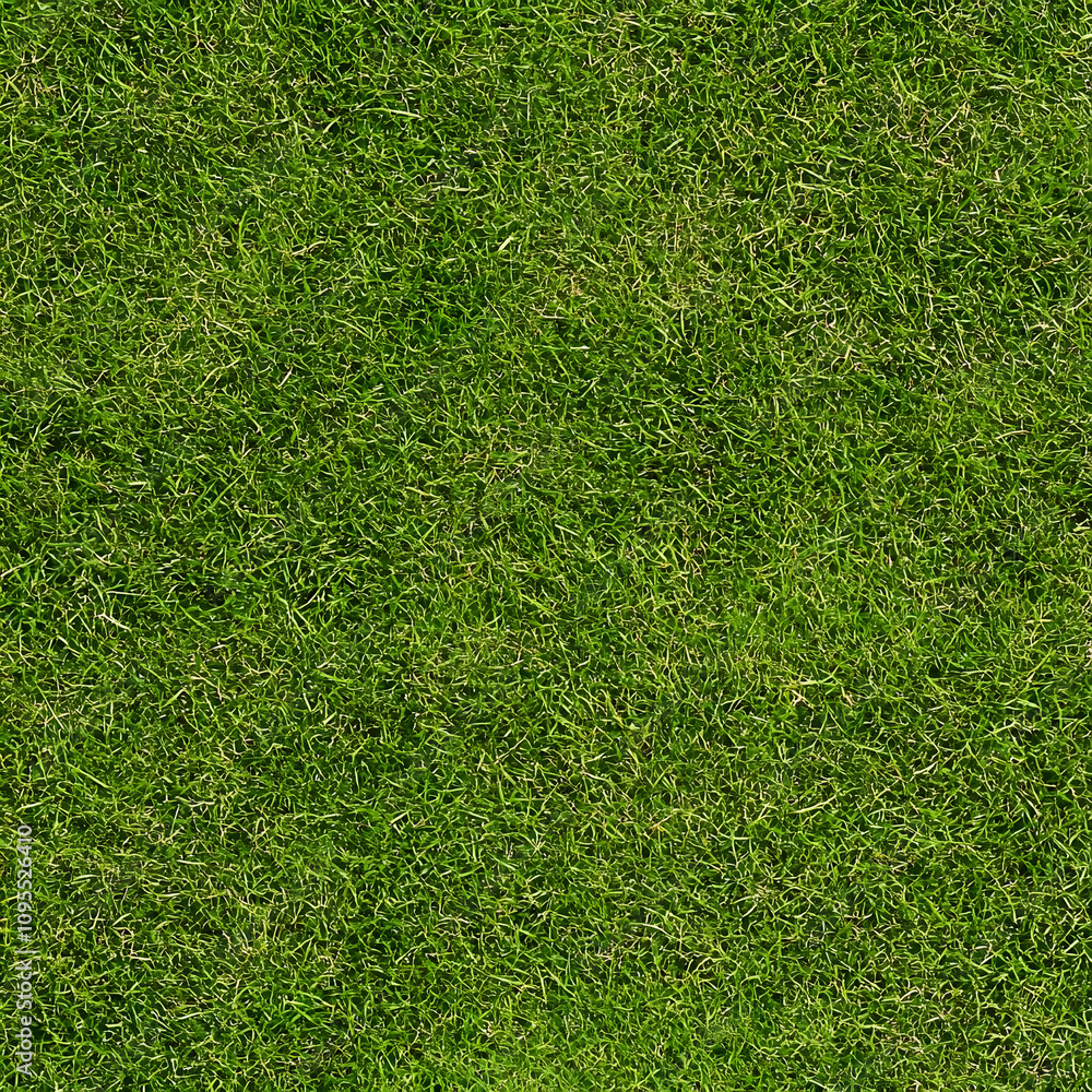 Obraz premium High-Quality Seamless Grass Texture for Natural Backgrounds and Landscapes, Perfect for Design Projects and Digital Creations