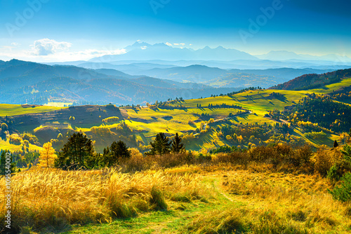 Fototapeta Naklejka Na Ścianę i Meble -  Mountain landscape in the Pieniny National Park at the foot of the Tatra Mountains