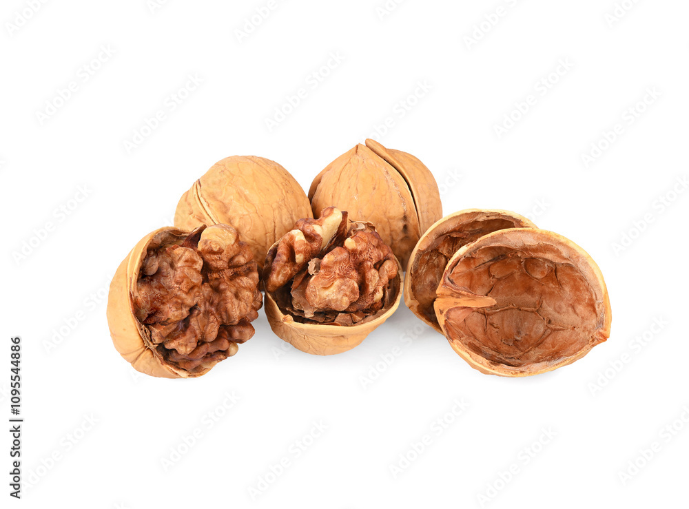 walnut half isolated on transparent png