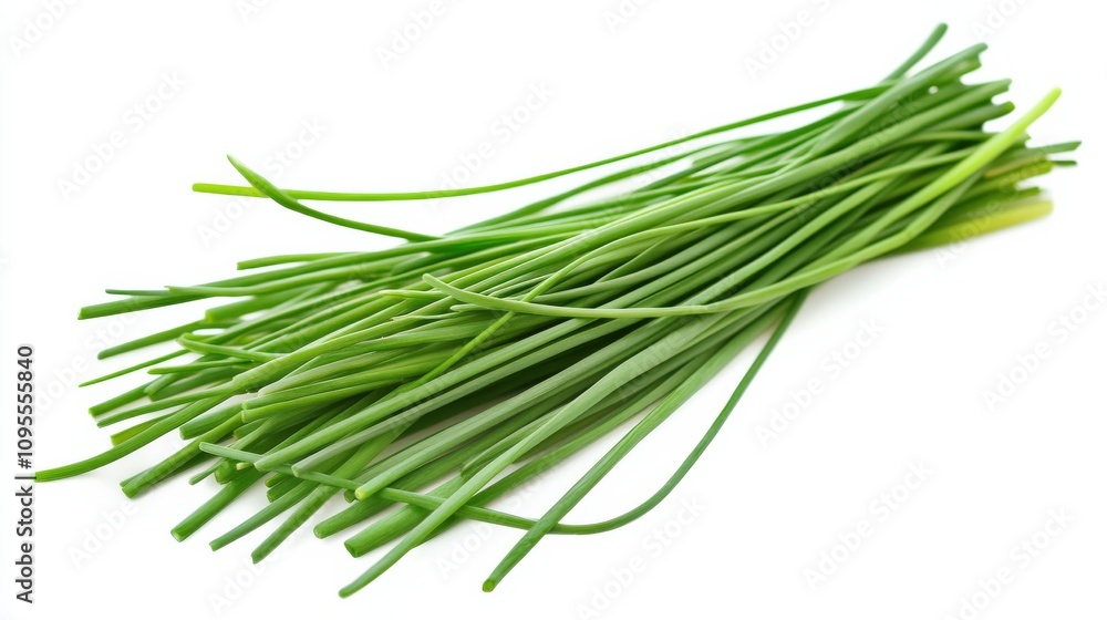 A fresh bunch of chives with their vibrant green color and delicate stems, Each chive’s bright green color and subtle imperfections captured with precision A fresh bunch of chives with their vibrant green color and delicate stems, Each chive’s bright green color and subtle imperfections captured with precision