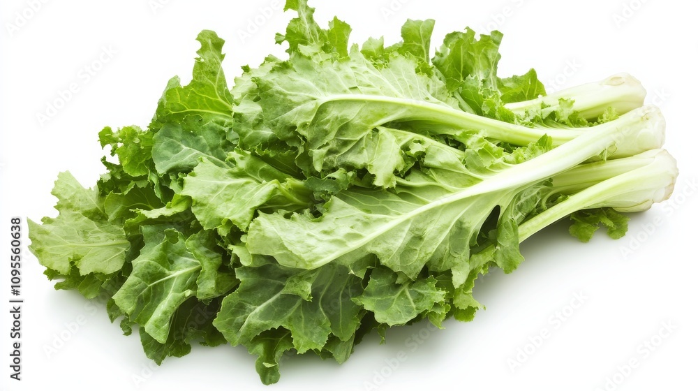 A fresh bunch of escarole with its vibrant green leaves and slightly bitter taste, Each leaf’s bright color and subtle imperfections captured with precision A fresh bunch of escarole with its vibrant green leaves and slightly bitter taste, Each leaf’s bright color and subtle imperfections captured with precision
