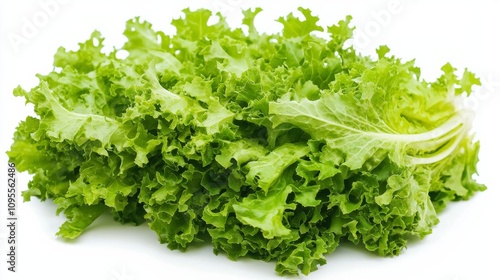 A fresh bunch of frisée lettuce with its vibrant green leaves and slightly bitter taste, Each leaf’s bright color and subtle imperfections captured with precision