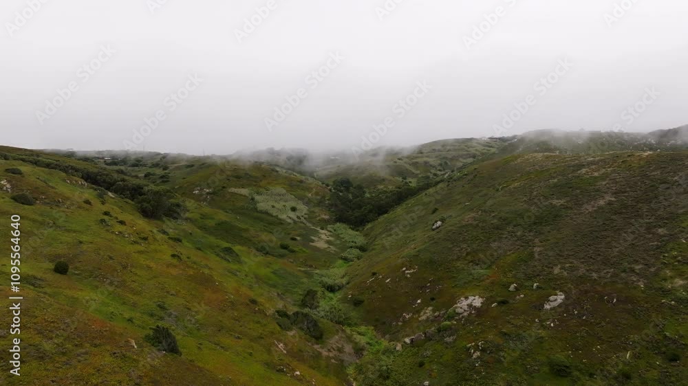 Fog gently rolls over a lush green valley under a cloudy sky, creating a serene and tranquil natural landscape Fog gently rolls over a lush green valley under a cloudy sky, creating a serene and tranquil natural landscape