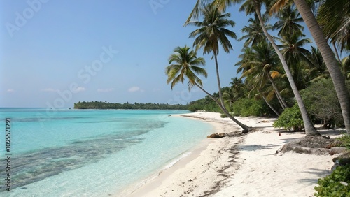 Tranquil palm-lined beach with crystal-clear turquoise waters, serene landscape, paradise, beach, palm trees