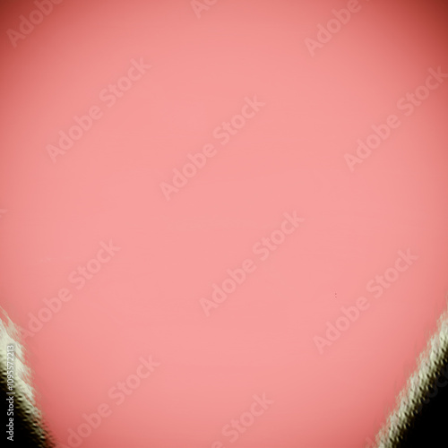 Wallpaper Mural Squared background Template with deckled edges suitable for social media online posts, promos, advertisement, posters, and your creative design works with free space to insert text Torontodigital.ca