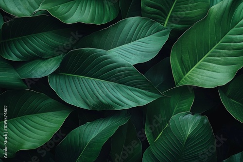 Wallpaper Mural Dense Green Tropical Leaves with Glossy Texture and Intricate Veins in Vibrant Nature Background Torontodigital.ca