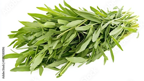 Wallpaper Mural A fresh bunch of tarragon with its slender green leaves and delicate licorice-like flavor, Each leaf’s bright color and subtle imperfections captured with precision Torontodigital.ca