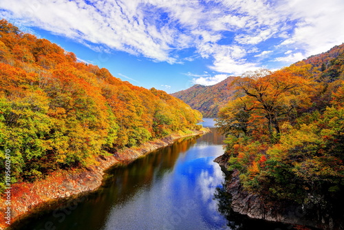 秋の奥只見湖雨池橋周辺の紅葉