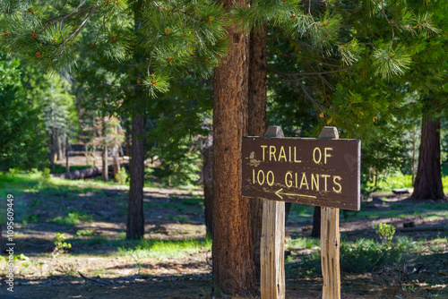 Wooden Sign for Trail of 100 Giants redwoods in Sequoia National Forest, California