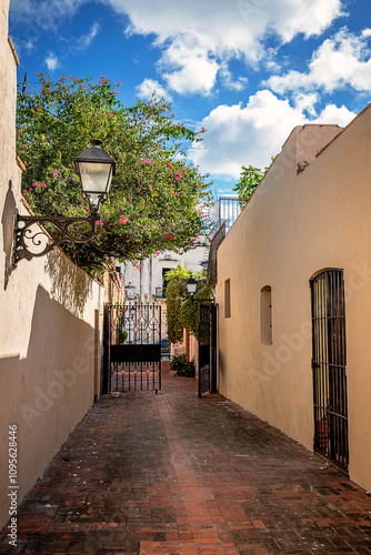 Narrow street in the Colonial Zone, Santo Domingo, Dominican Republic. Scenic view of sunny flowering street with medieval architecture, old colonial city