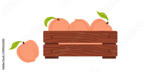 Fresh peaches in a rustic wooden crate with one peach beside it on a white background