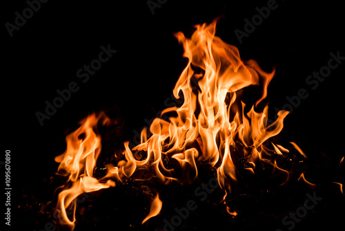 Blaze flames background. Burning fire backdrop. Flame of fire. Fire background. Fire texture. Flaming.