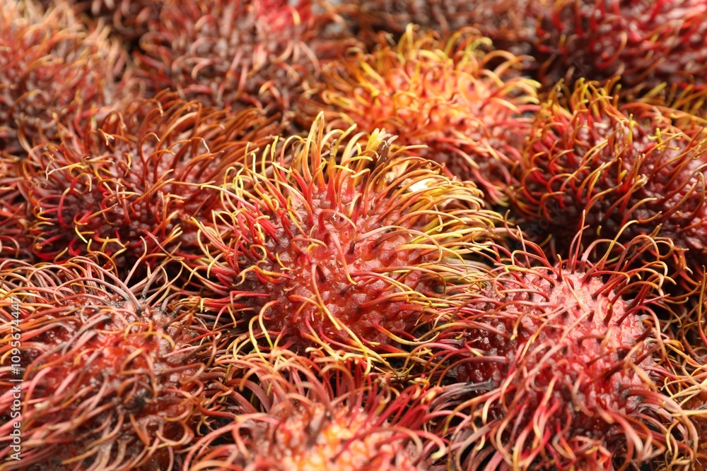 Pile of fresh rambutans as background, closeup Pile of fresh rambutans as background, closeup