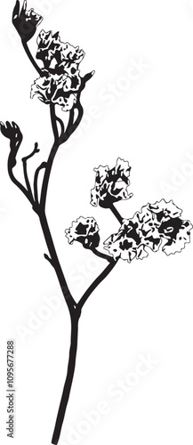 Vector Silhouette Collection: Clean and Bold Designs Set of limonium flowers (small twigs) isolated on white or trans