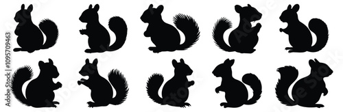 Squirrel silhouette set vector design big pack of animal illustration and icon
