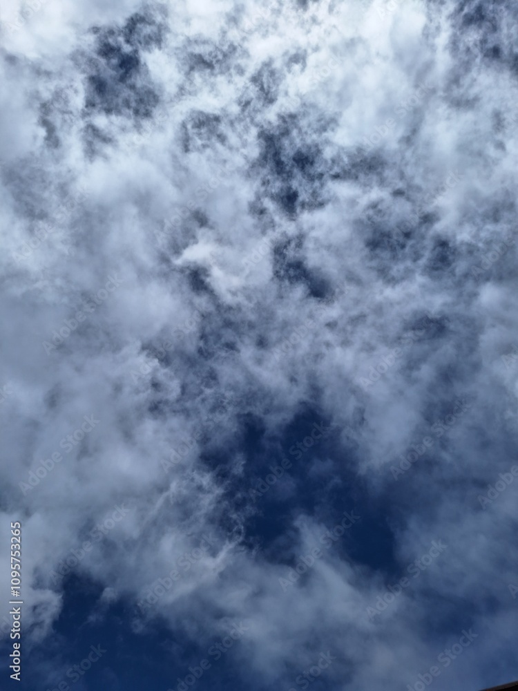 Cielo Cielo